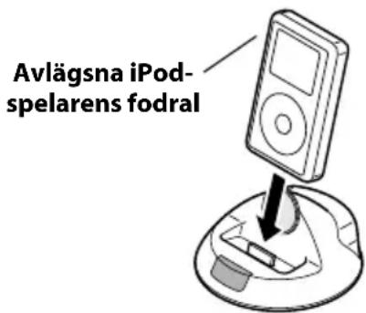 ONKYO DSA1XP - Placering av en iPod-spelare i RI-dockan - 1