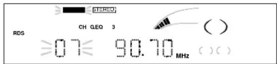 DUAL MP 300 - Die gespeicherten Sender bleiben auch nach dem Ausschalten des Gerätes und bei Netzausfall für ca. 2 Wochen erhalten. - 1