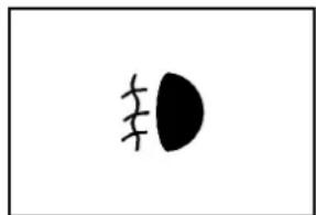 CHEVROLET Corvette (2010) - Témoindepharesantibrouillard - 1