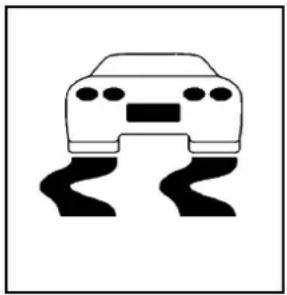 CHEVROLET Corvette (2010) - Témoindusystèmedetraction asservie - 1