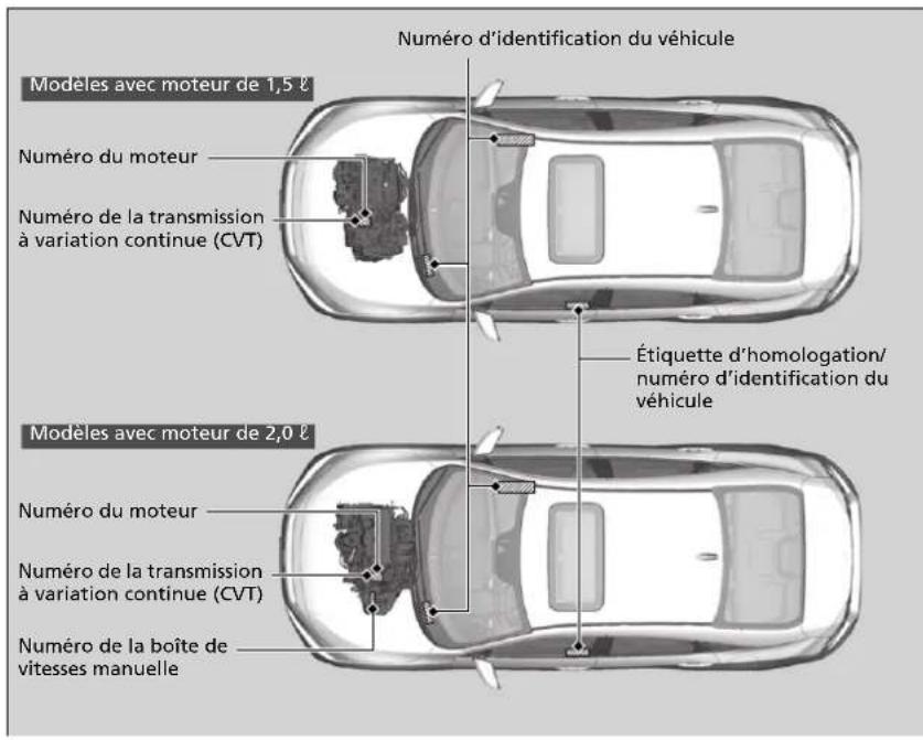 Honda Civic (2016) - Numéro d'identification du véhicule (NIV), numéro du moteur et numéro de la boîte de vitesses - 1