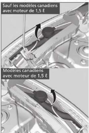 Honda Civic (2016) - Remplissage du réservoir du liquide de lave-glace - 1