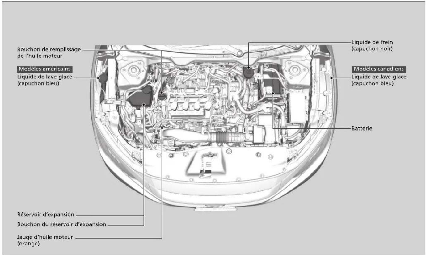 Honda Civic (2016) - Éléments d'entretien sous le capot - 1