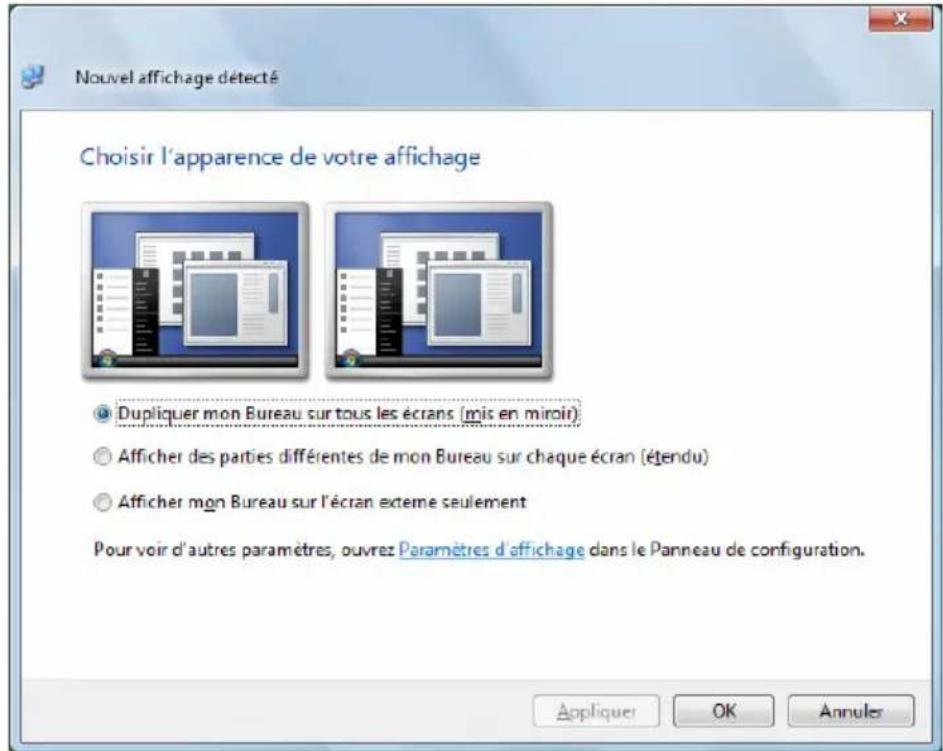 MEDION MD 96640 - Connexion d'un monitreur externe - 3