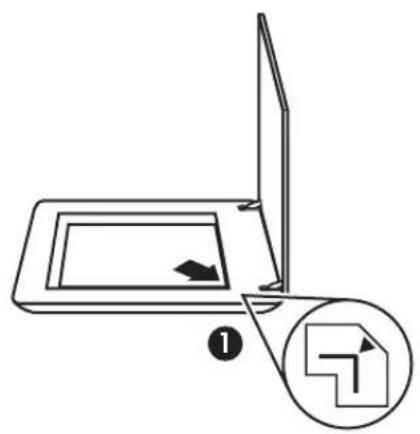 HP Scanjet G4000 - aalalalalalalalalalalalalalalalalalalal - 3