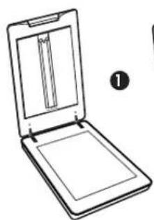 HP Scanjet G4000 - USB - 5