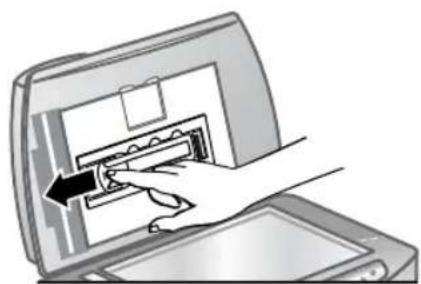 HP Scanjet 8290 - numérisation de négatifs - 2
