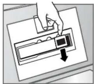 HP Scanjet 8290 - numérisation de diapositives - 3