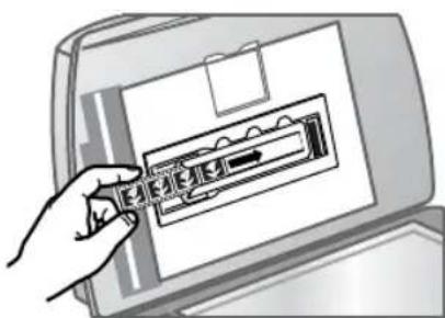 HP Scanjet 8290 - negatieven scanners - 3