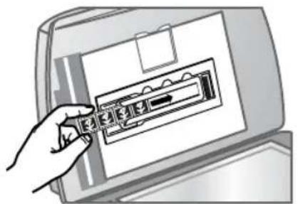 HP Scanjet 8290 - numérisation de négatifs - 3
