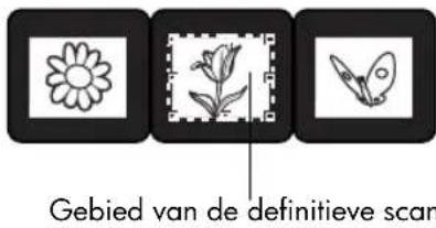 HP Scanjet 8290 - dia's scanner - 5