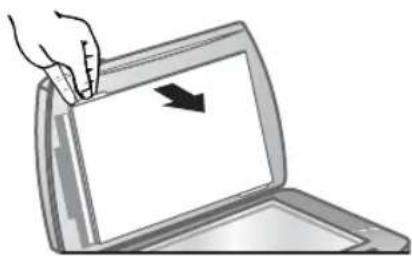 HP Scanjet 8290 - numérisation de négatifs - 1