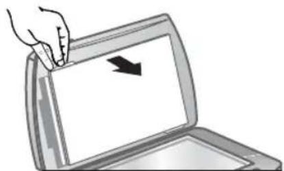 HP Scanjet 8290 - numérisation de diapositives - 1