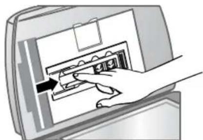 HP Scanjet 8290 - numérisation de négatifs - 4