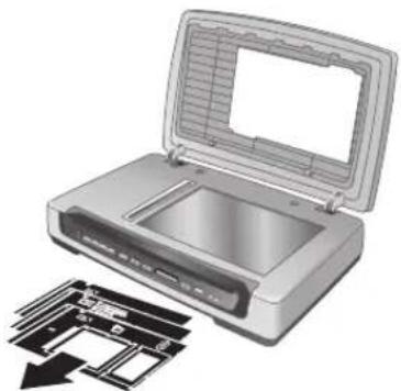 HP Scanjet 8390 - Film templates - 1