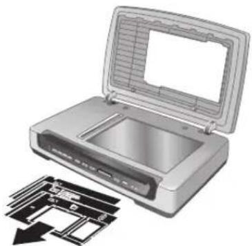 HP Scanjet 8390 - Plantillas depellicas - 1