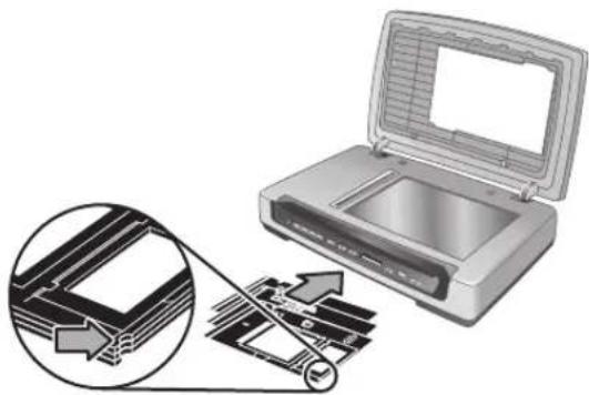 HP Scanjet 8390 - Film templates - 2