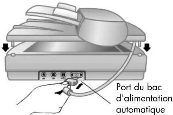 HP Scanjet 5590C - Connexion du bac d'alimentation automatique - 1