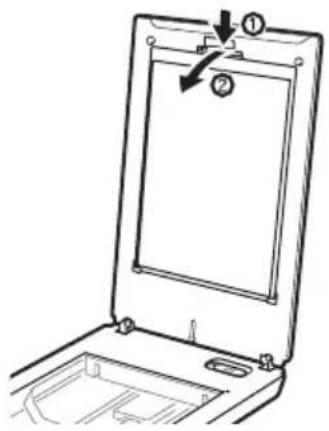 CANON Canoscan 8800f - Remove the protective sheet from the document cover. - 1