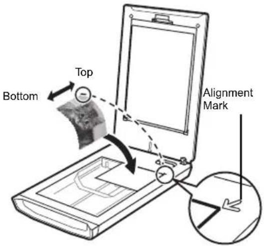 CANON Canoscan 8800f - Try Scanning - 2