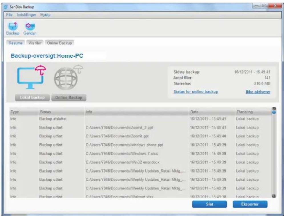 SANDISK U3 cruzer micro - Fanen Resume - 1