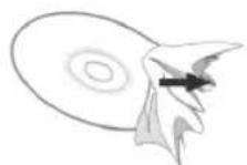 Karcher Audio RR 5031 - Cleaning discs - 1