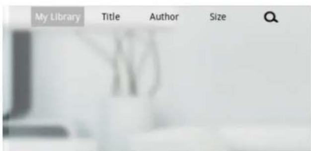 Xiron EBKR207AU001 - het gebruik van de functionele icon - 20