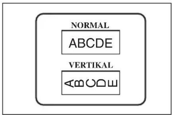 BROTHER PTouch PT2480 - Normal- und Vertikaldruck - 1