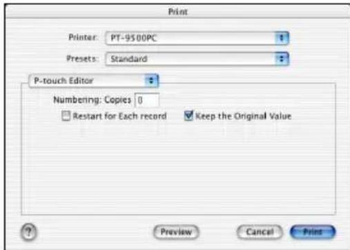BROTHER PTouch 9500PC - P-touch Editor - 1