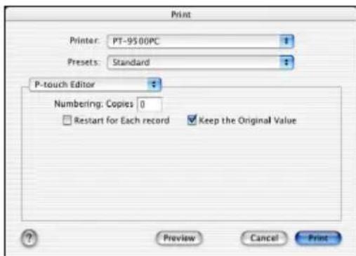 BROTHER PTouch 9500PC - Numbering (Fortlaufende Nummerierung): - 1