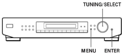 SONY STSE300 - Personalização do主義者 - 1