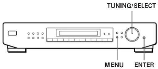 SONY STSE500 - Personalização do mostrador - 1