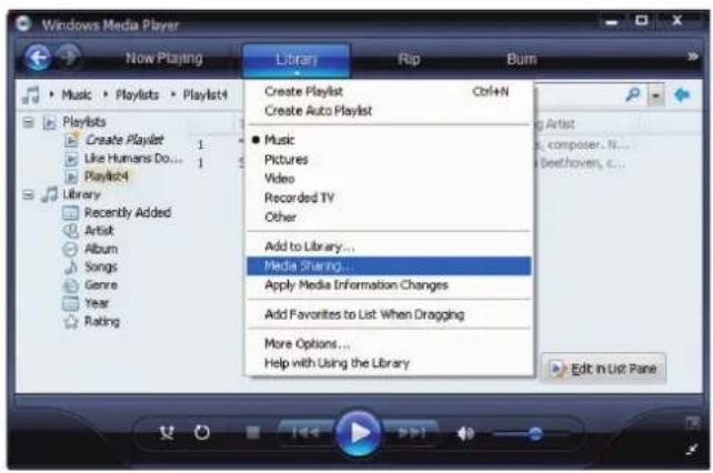 ROTEL RT12 - Configuración de un servidor UPnP en un PC - 1