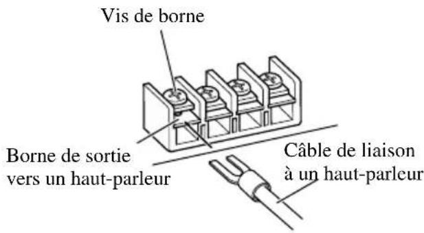 Vis de borne Borne de sortie vers un haut-parleur Câble de liaison à un haut-parleur