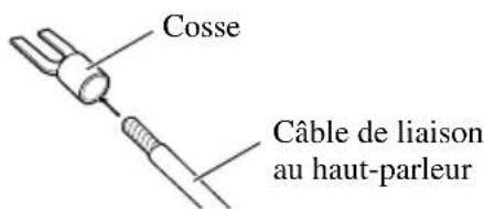 Cosse Câble de liaison au haut-parleur
