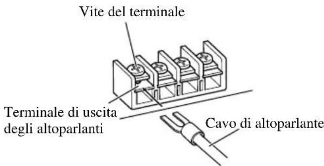 Vite del terminale Terminale di uscita degli altoparlanti Cavo di altoparlante