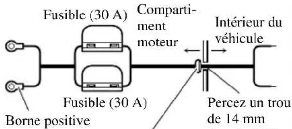Fusible (30 A) Compartment moteur Intérieur du véhicule Fusible (30 A) Borne positive Percez un trou de 14 mm