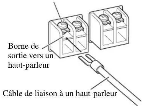 Borne de sortie vers un haut-parleur Câble de liaison à un haut-parleur