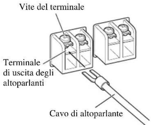 Vite del terminale Terminale di uscita degli altoparlanti Cavo di altoparlante