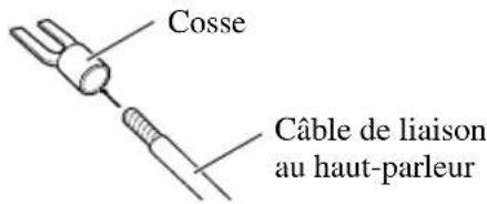 Cosse Câble de liaison au haut-parleur