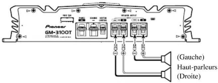Pioneer GM-3100T (Gauche) Haut-parleurs (Droite)