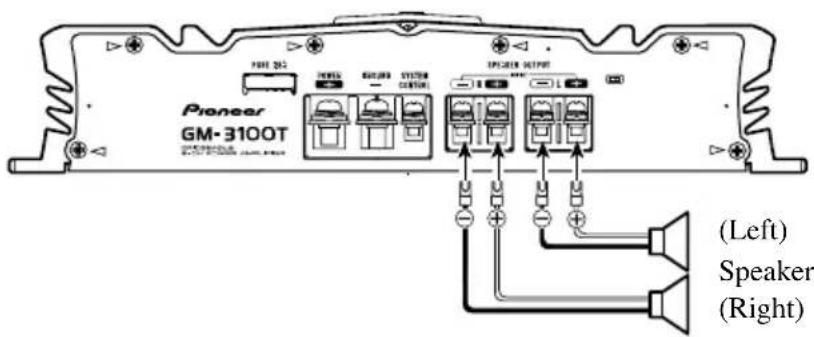 Pioneer GM-3100T (Left) Speaker (Right)