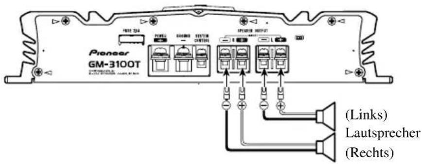 Pioneer GM-3100T (Links) Lautsprecher (Rechts)