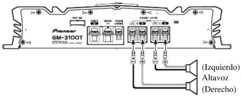 Pioneer GM-3100T (Izquierdo) Altavoz (Derecho)