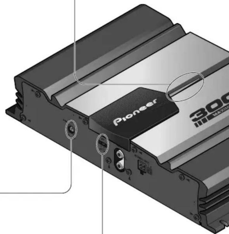 Pioneer i300 MAXIM