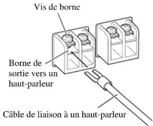 Vis de borne Borne de sortie vers un haut-parleur Câble de liaison à un haut-parleur