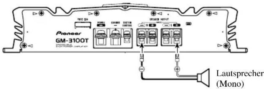 Pioneer GM-3100T Lautsprecher (Mono)