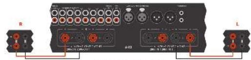 ARCAM FMJ P49 - Accensione - 1