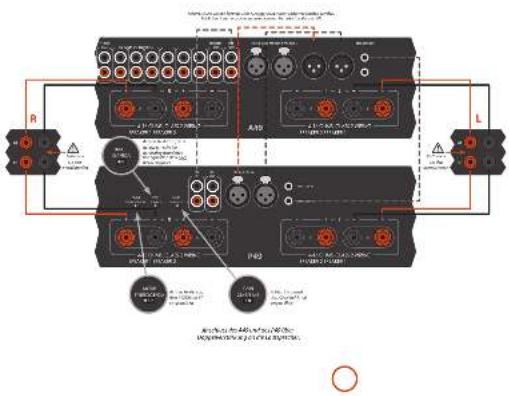 ARCAM FMJ P49 - Doppelverdrahtung - 4