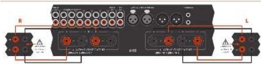 ARCAM FMJ P49 - Accensione - 2